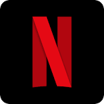 Netflix India